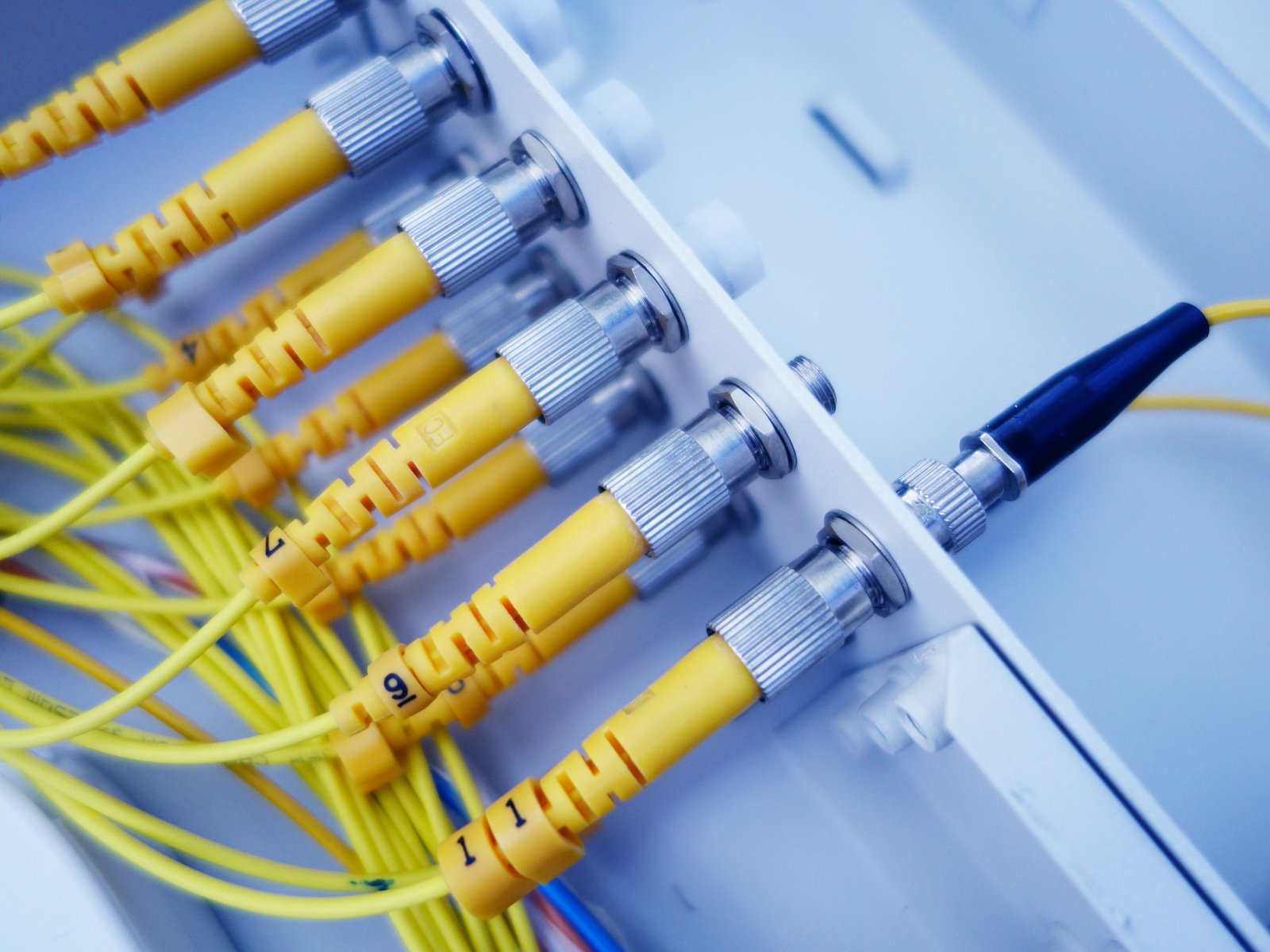Trabalhos em Fibra Ótica